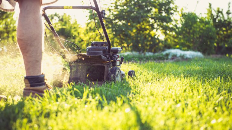 GartenRaum Präsentationsbilder