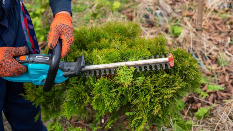 GartenRaum Präsentationsbilder2